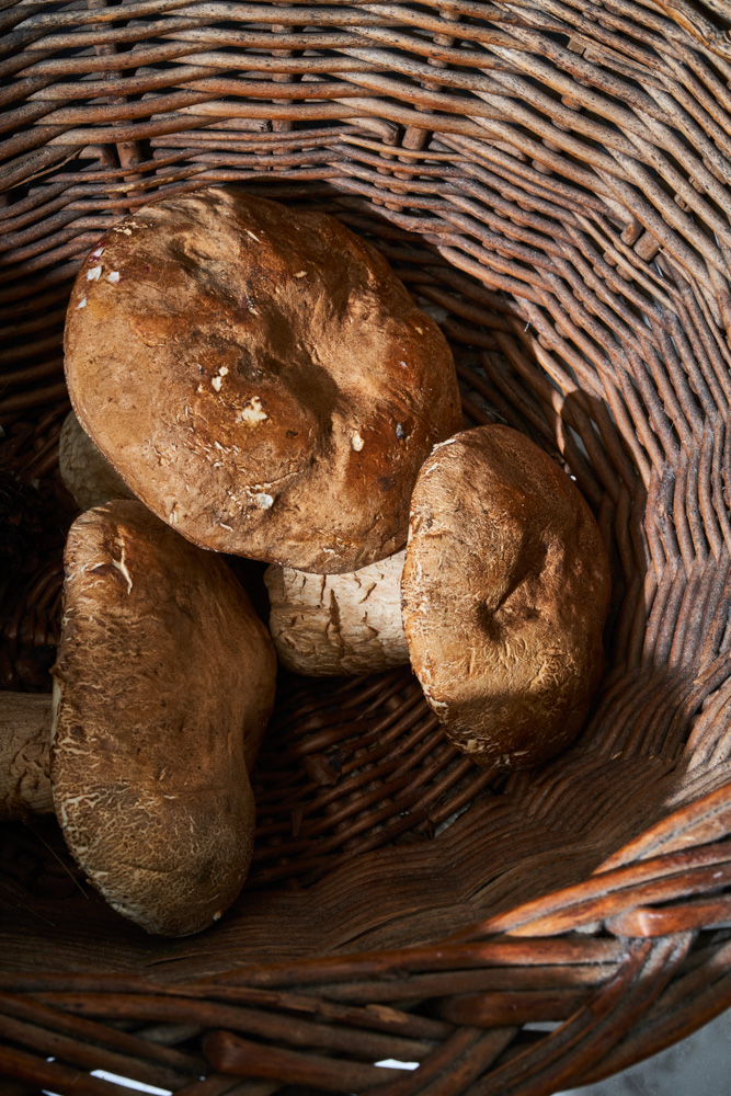 210706_VIA_CAROTA_PORCINI_022
