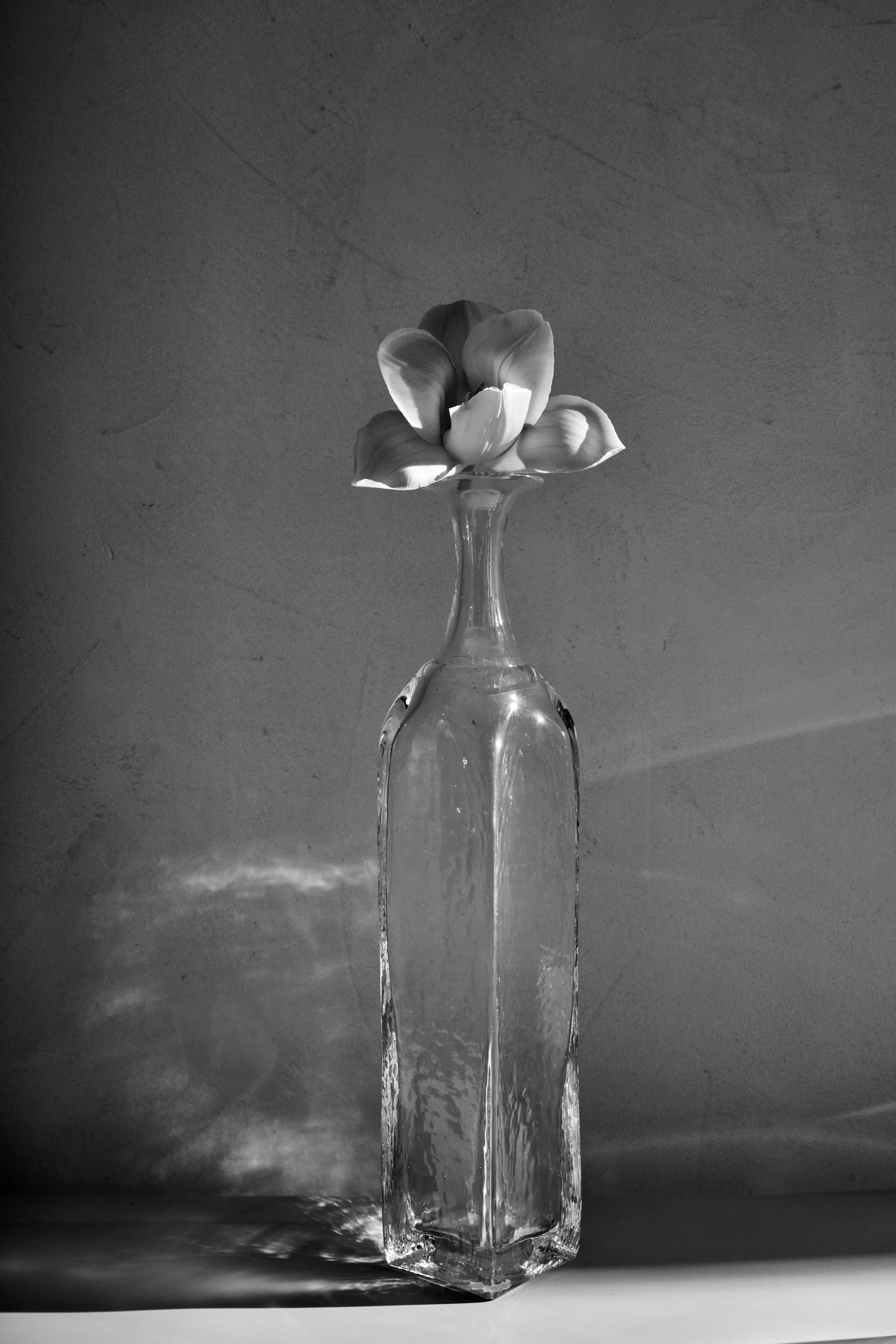 220125_RW_GUILD_LOVE_SHOT_01_VASES_3232-2