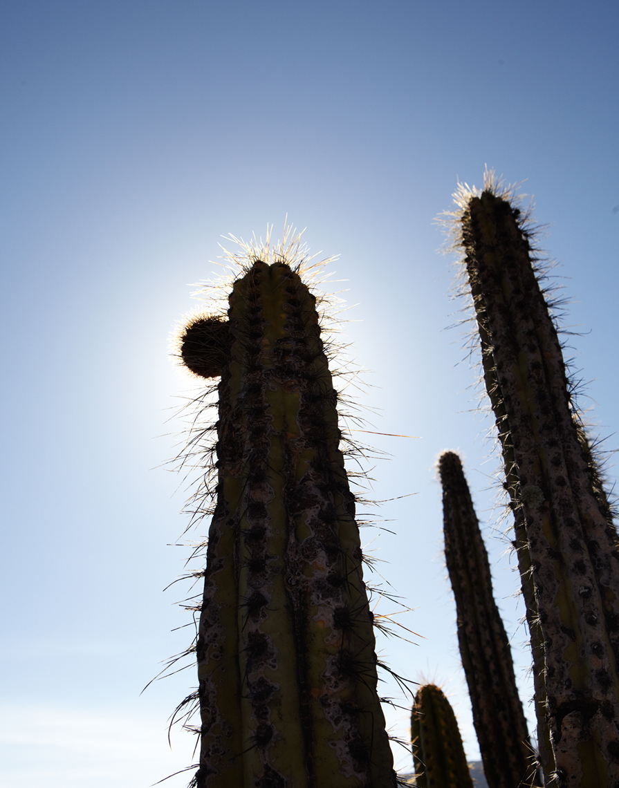 GH_TRAVEL_PERU_07